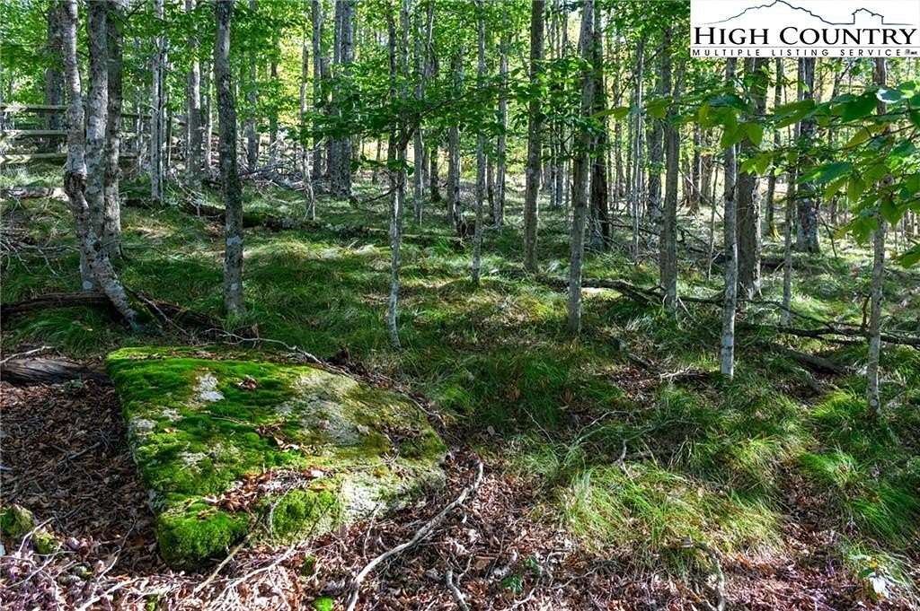 0.37 Acres of Residential Land for Sale in Beech Mountain, North Carolina