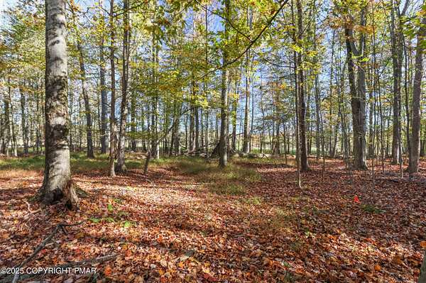 0.34 Acres of Residential Land for Sale in Lake Ariel, Pennsylvania