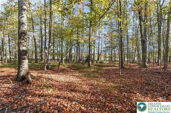 0.34 Acres of Residential Land for Sale in Lake Ariel, Pennsylvania