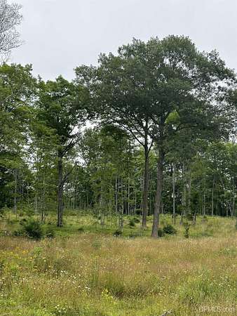 159 Acres of Recreational Land for Sale in Champion, Michigan