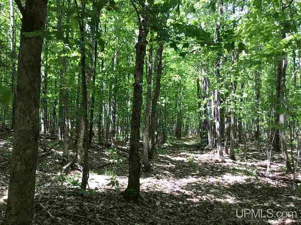 228 Acres of Recreational Land for Sale in Champion, Michigan