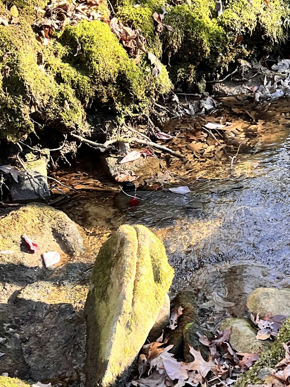 0.52 Acres of Residential Land for Sale in Monteagle, Tennessee