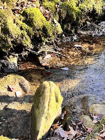 0.52 Acres of Residential Land for Sale in Monteagle, Tennessee