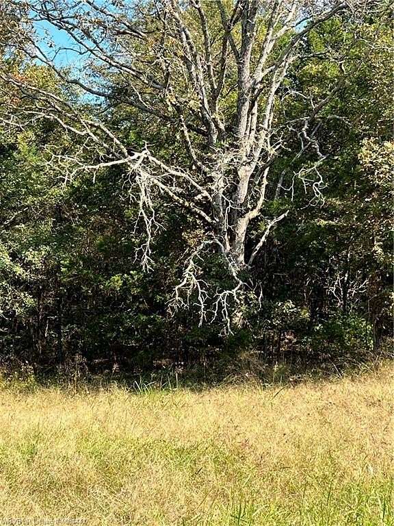 40 Acres of Land for Sale in Scranton, Arkansas