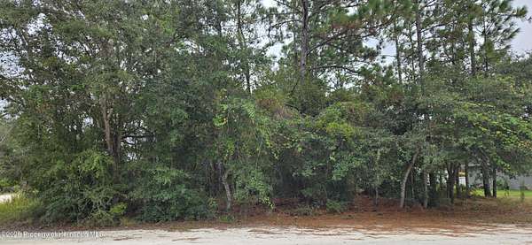 0.5 Acres of Residential Land for Sale in Weeki Wachee, Florida