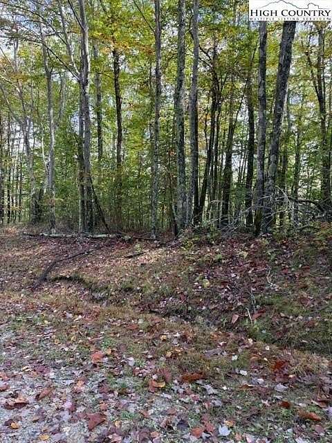 1.19 Acres of Land for Sale in Beech Mountain, North Carolina