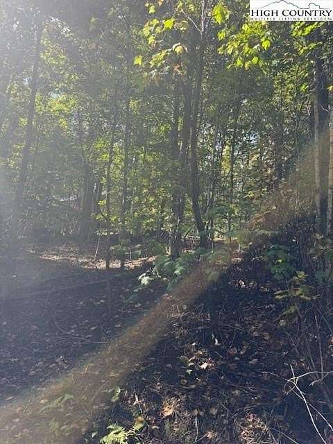 0.38 Acres of Land for Sale in Beech Mountain, North Carolina