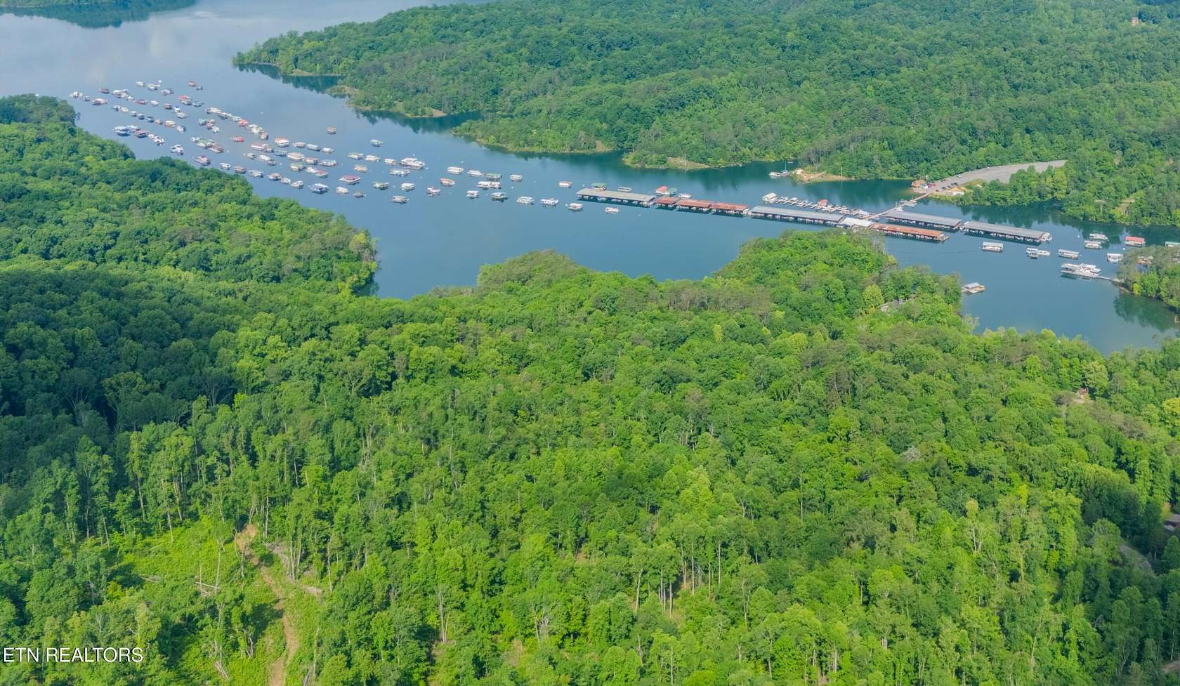 74.4 Acres of Recreational Land for Sale in New Tazewell, Tennessee