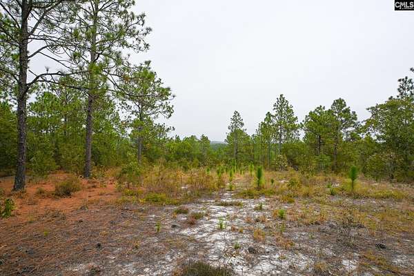 5 Acres of Residential Land for Sale in Lexington, South Carolina