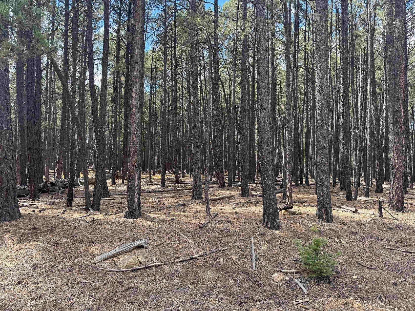 0.52 Acres of Residential Land for Sale in Angel Fire, New Mexico