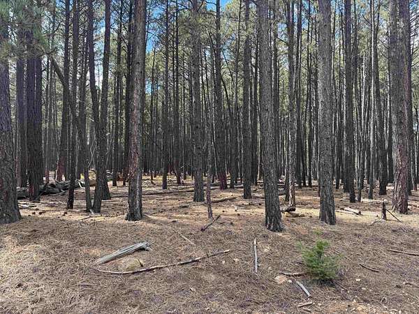 0.52 Acres of Residential Land for Sale in Angel Fire, New Mexico
