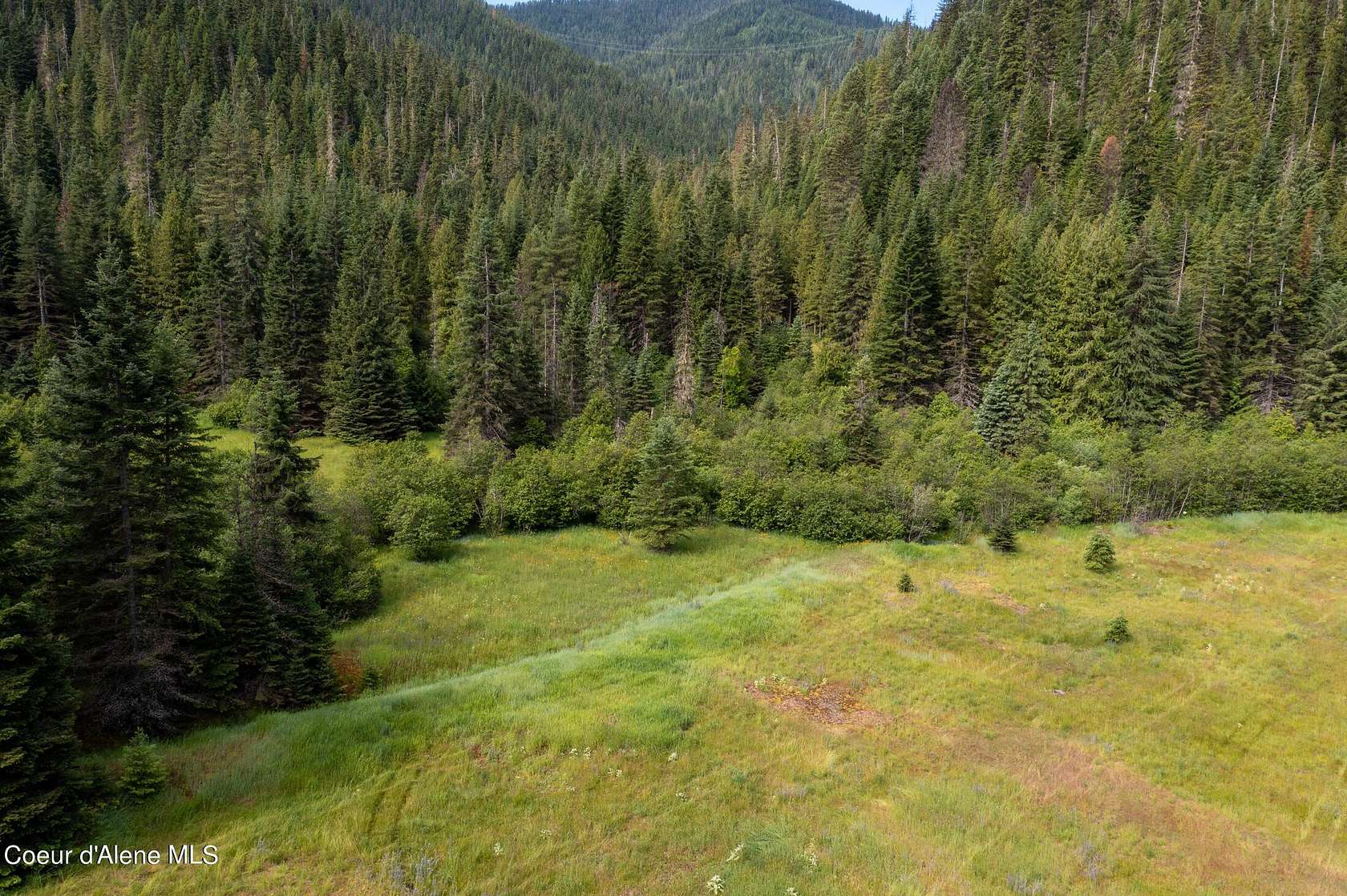 18.8 Acres of Land for Sale in Wallace, Idaho