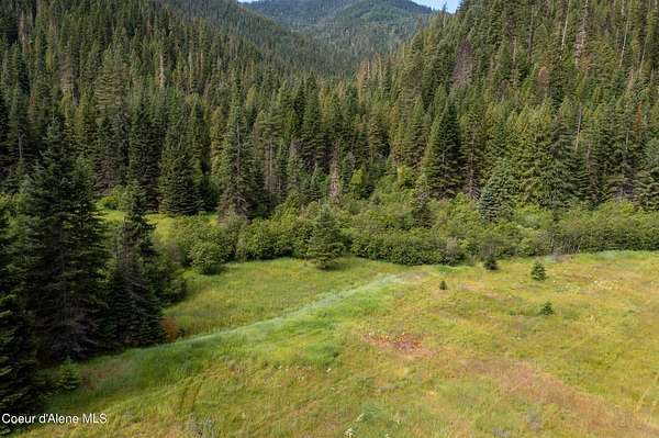 18.8 Acres of Land for Sale in Wallace, Idaho