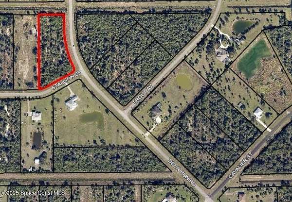 2.77 Acres of Residential Land for Sale in Palm Bay, Florida