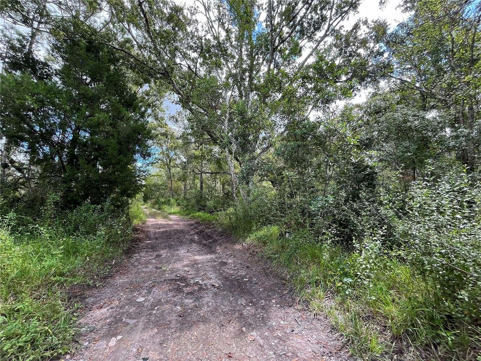 0.18 Acres of Residential Land for Sale in New Port Richey, Florida