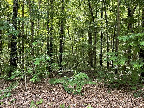 84.5 Acres of Recreational Land for Sale in McMinnville, Tennessee