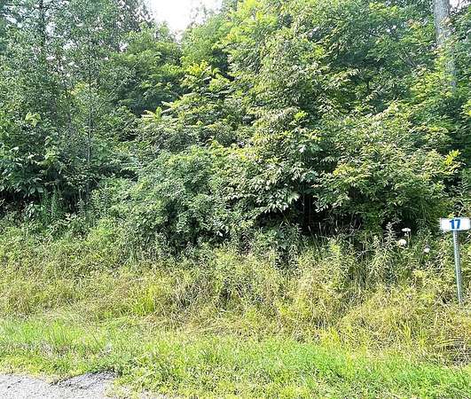 2.1 Acres of Residential Land for Sale in Towanda, Pennsylvania