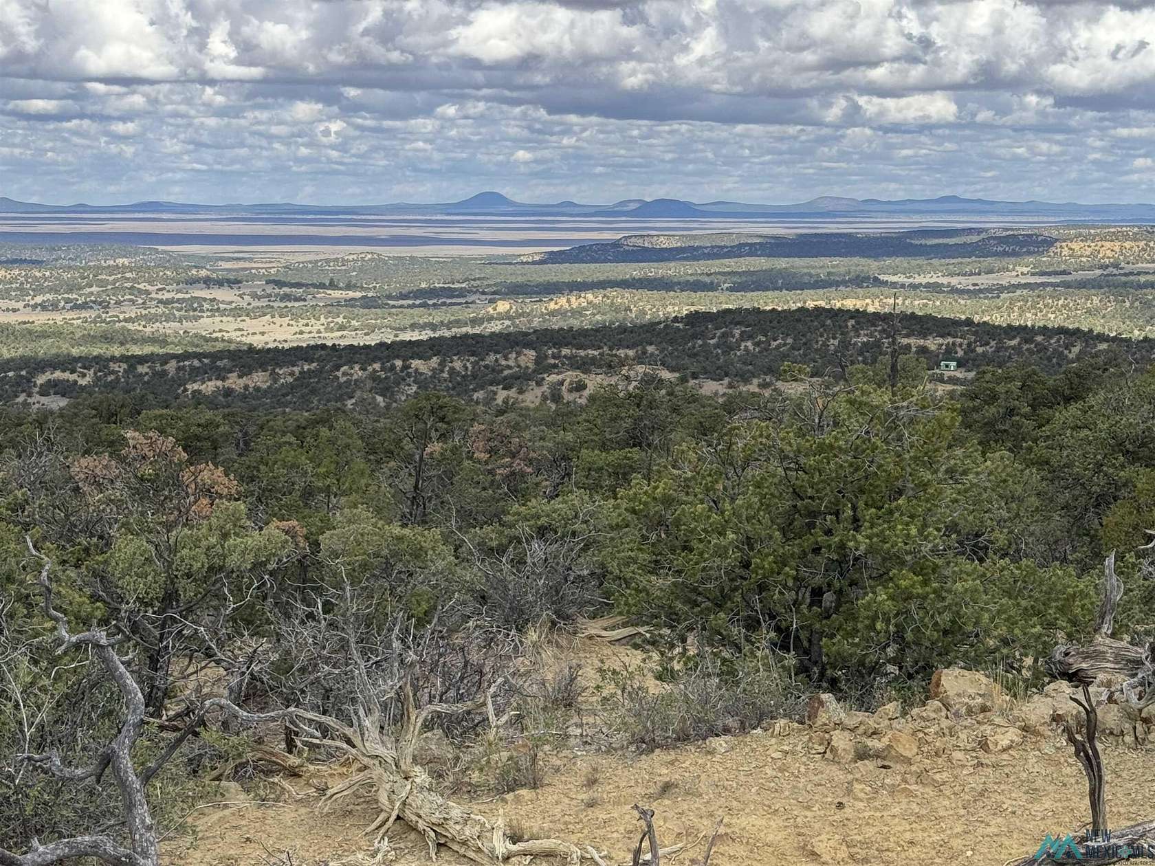 110 Acres of Agricultural Land with Home for Sale in Pie Town, New Mexico