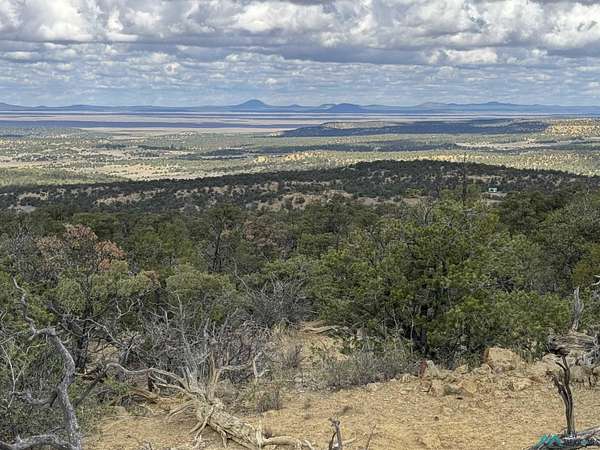 110 Acres of Agricultural Land with Home for Sale in Pie Town, New Mexico