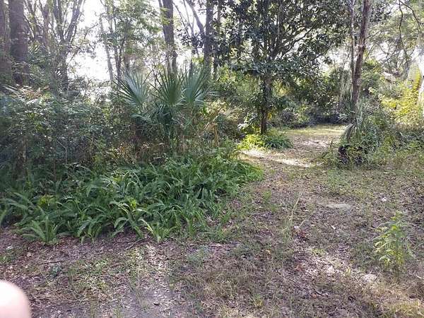 0.3 Acres of Land for Sale in Chiefland, Florida