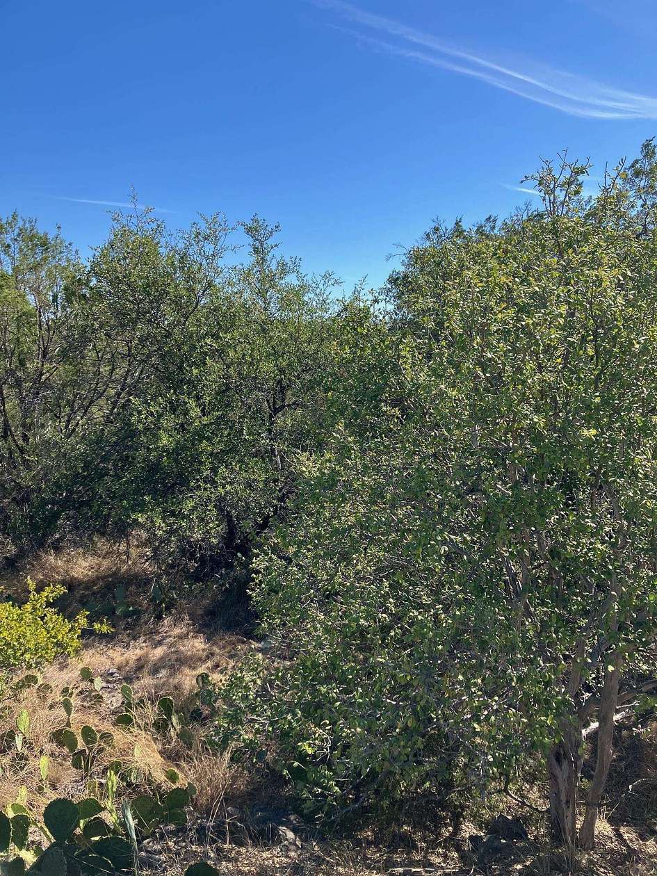 0.5 Acres of Land for Sale in Horseshoe Bay, Texas