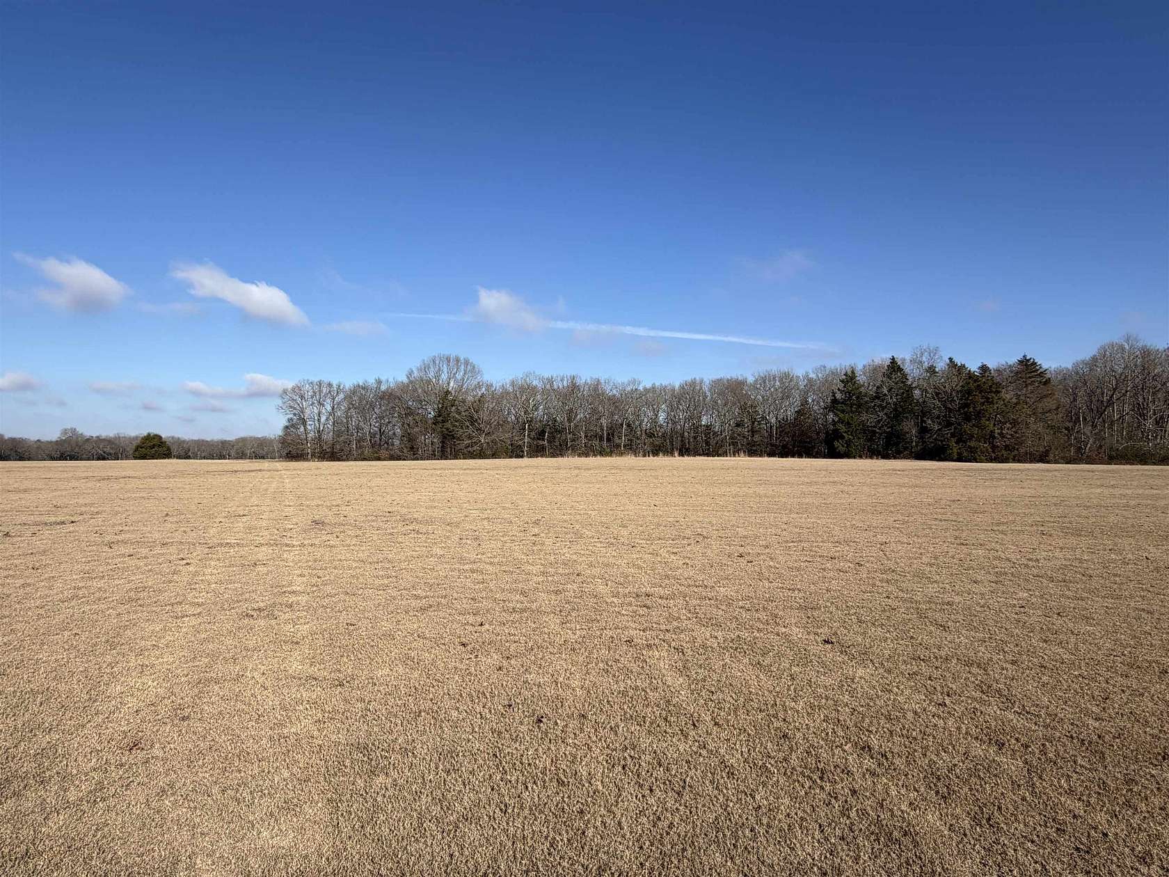 23.3 Acres of Agricultural & Residential Land for Sale in Moscow, Tennessee