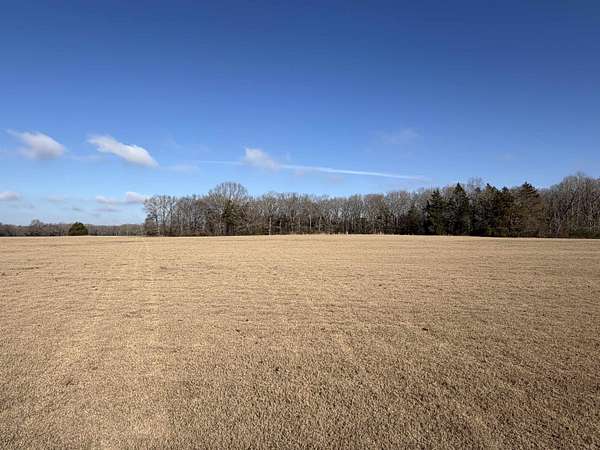 23.3 Acres of Agricultural Land for Sale in Moscow, Tennessee