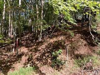 1 Acre of Residential Land for Sale in Ellijay, Georgia