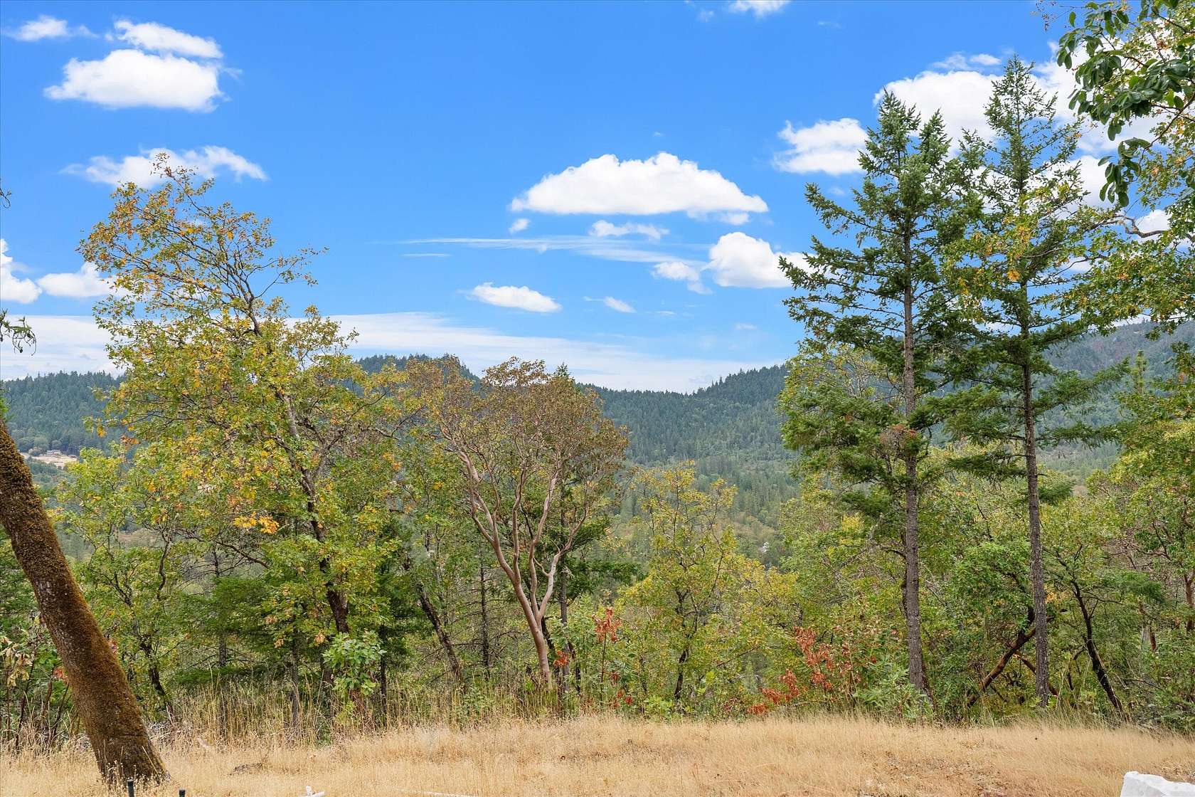 45.8 Acres of Land for Sale in Grants Pass, Oregon