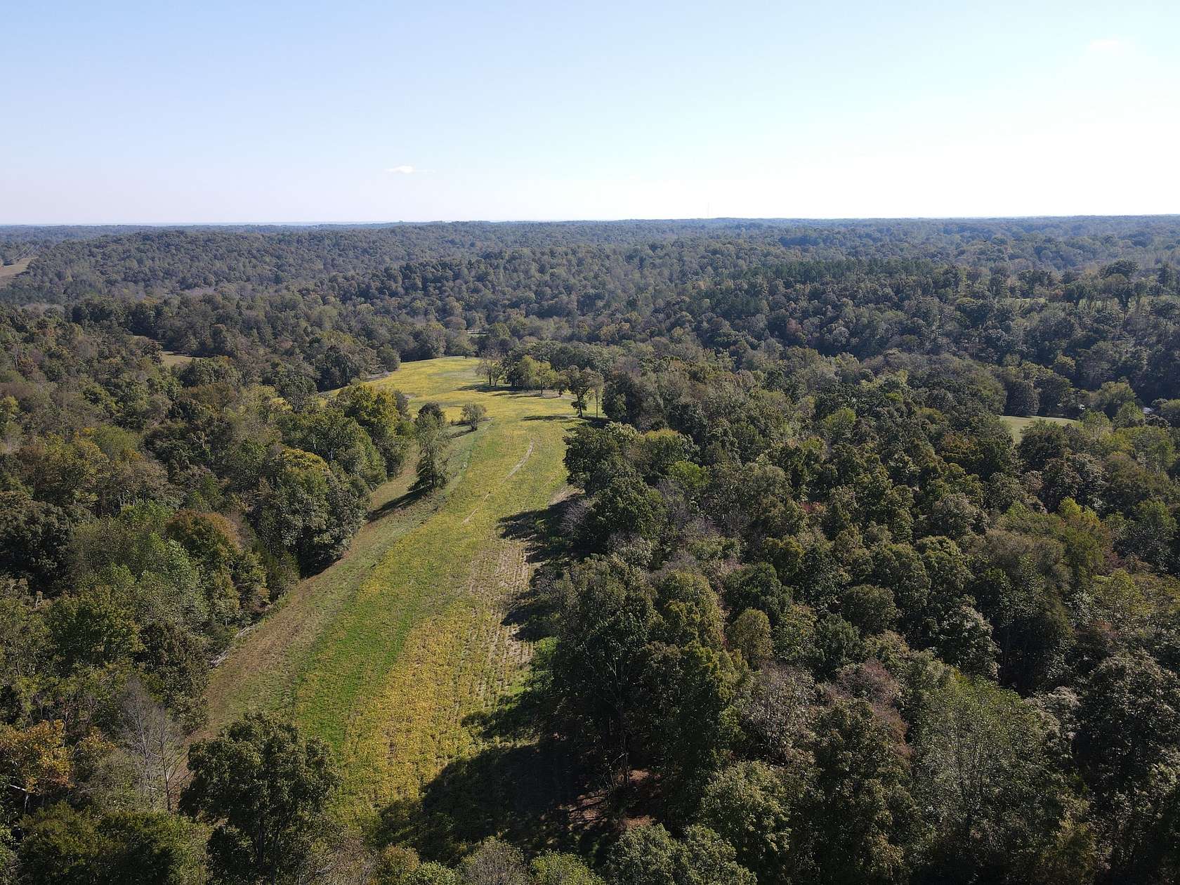 64 Acres of Land for Sale in Palmyra, Tennessee