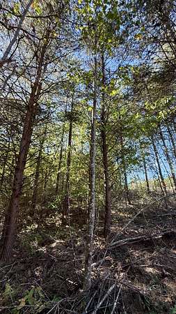 2.7 Acres of Residential Land for Sale in Palmer, Tennessee