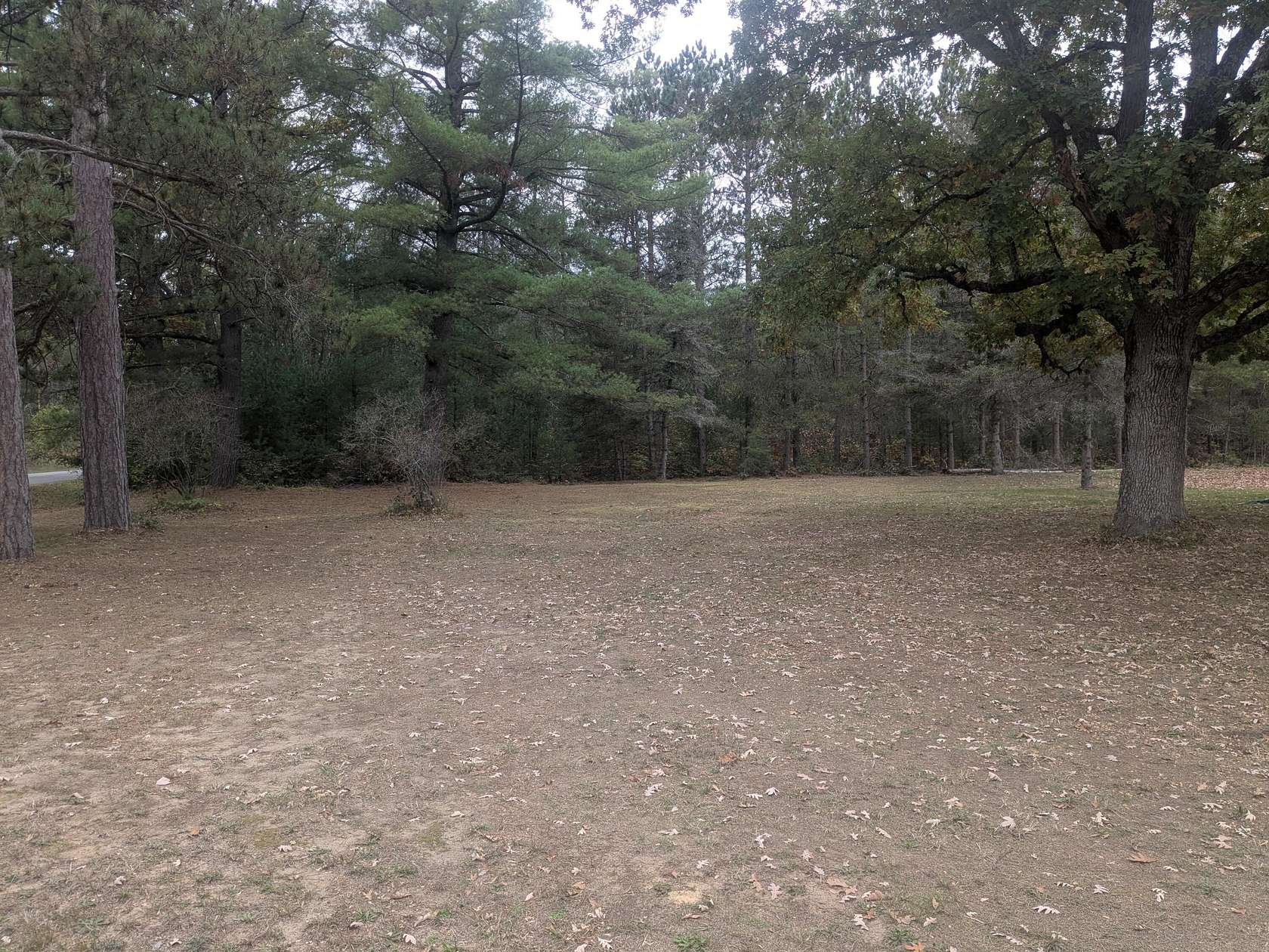 5.55 Acres of Residential Land for Sale in Brethren, Michigan