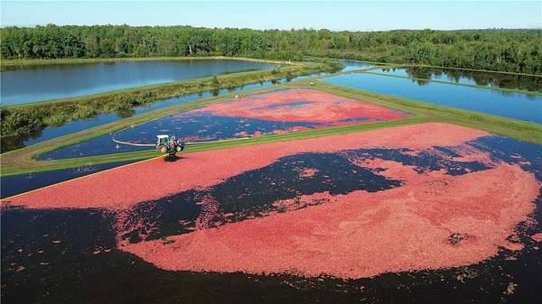 95 Acres of Agricultural Land for Sale in Exeland, Wisconsin