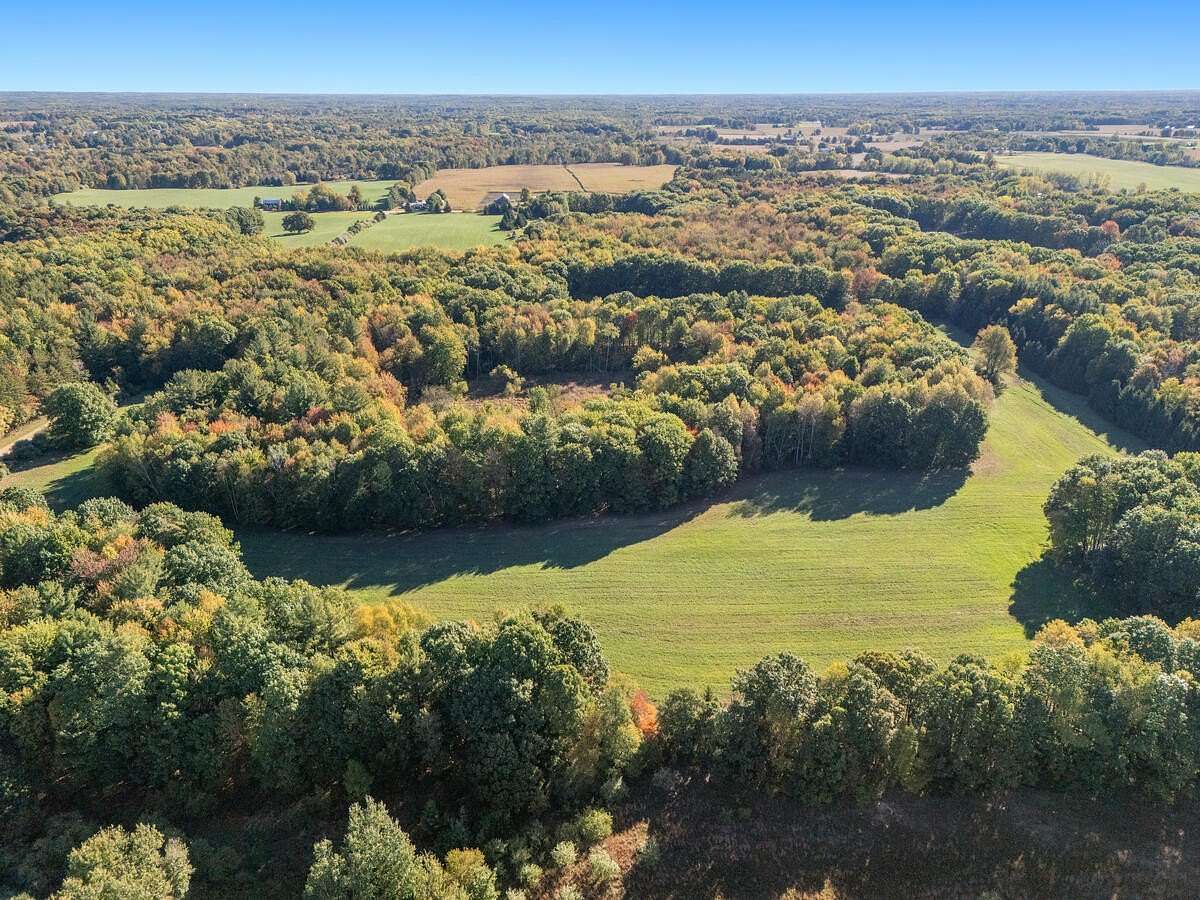 77.2 Acres of Land for Sale in Sidney, Michigan