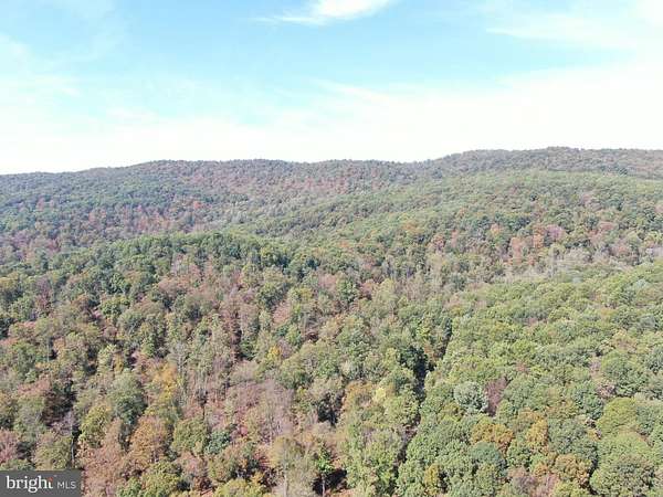 101 Acres of Recreational Land & Farm for Auction in Upper Strasburg, Pennsylvania