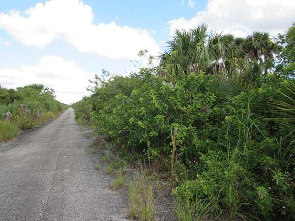 Residential Land for Sale in Palm Bay, Florida