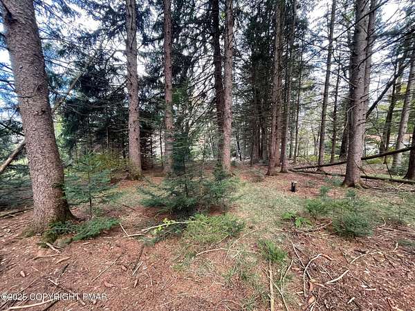 1.13 Acres of Residential Land for Sale in Albrightsville, Pennsylvania