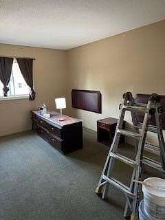 7 Acres of Improved Mixed-Use Land for Sale in Union City, Michigan