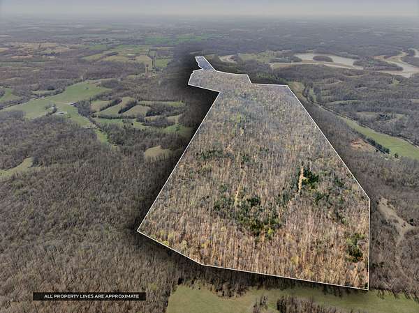 263 Acres of Recreational Land & Farm for Sale in Cadiz, Kentucky