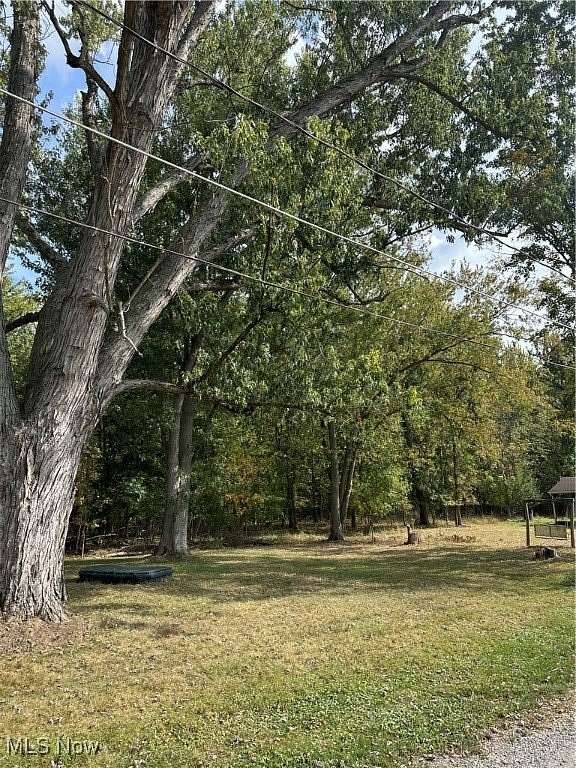 0.06 Acres of Residential Land for Sale in Chippewa Lake, Ohio