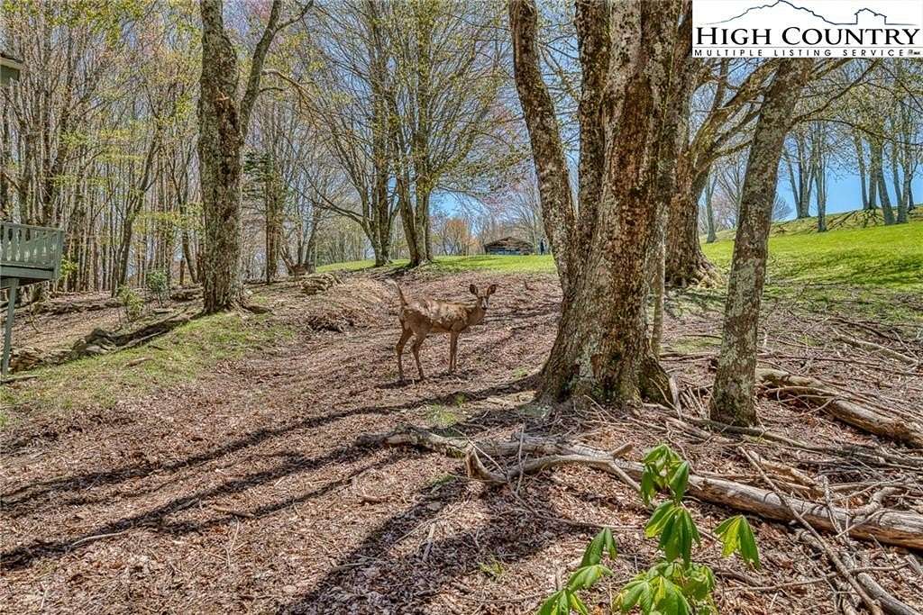 0.3 Acres of Residential Land for Sale in Beech Mountain, North Carolina
