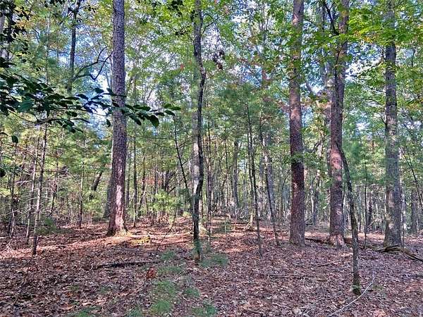 94 Acres of Recreational Land with Home for Sale in Dahlonega, Georgia