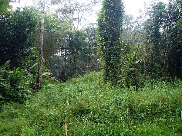 0.21 Acres of Residential Land for Sale in Pahoa, Hawaii