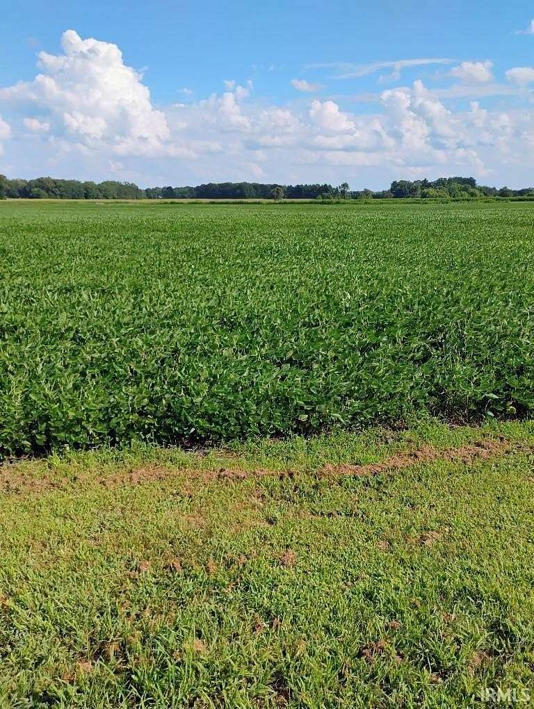 32 Acres of Agricultural Land for Sale in Grovertown, Indiana