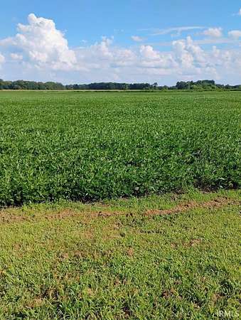 32 Acres of Agricultural Land for Sale in Grovertown, Indiana