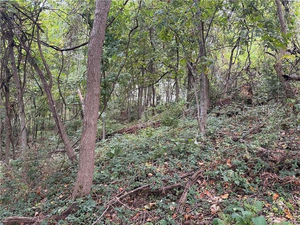 12 Acres of Recreational Land for Sale in Berryville, Arkansas
