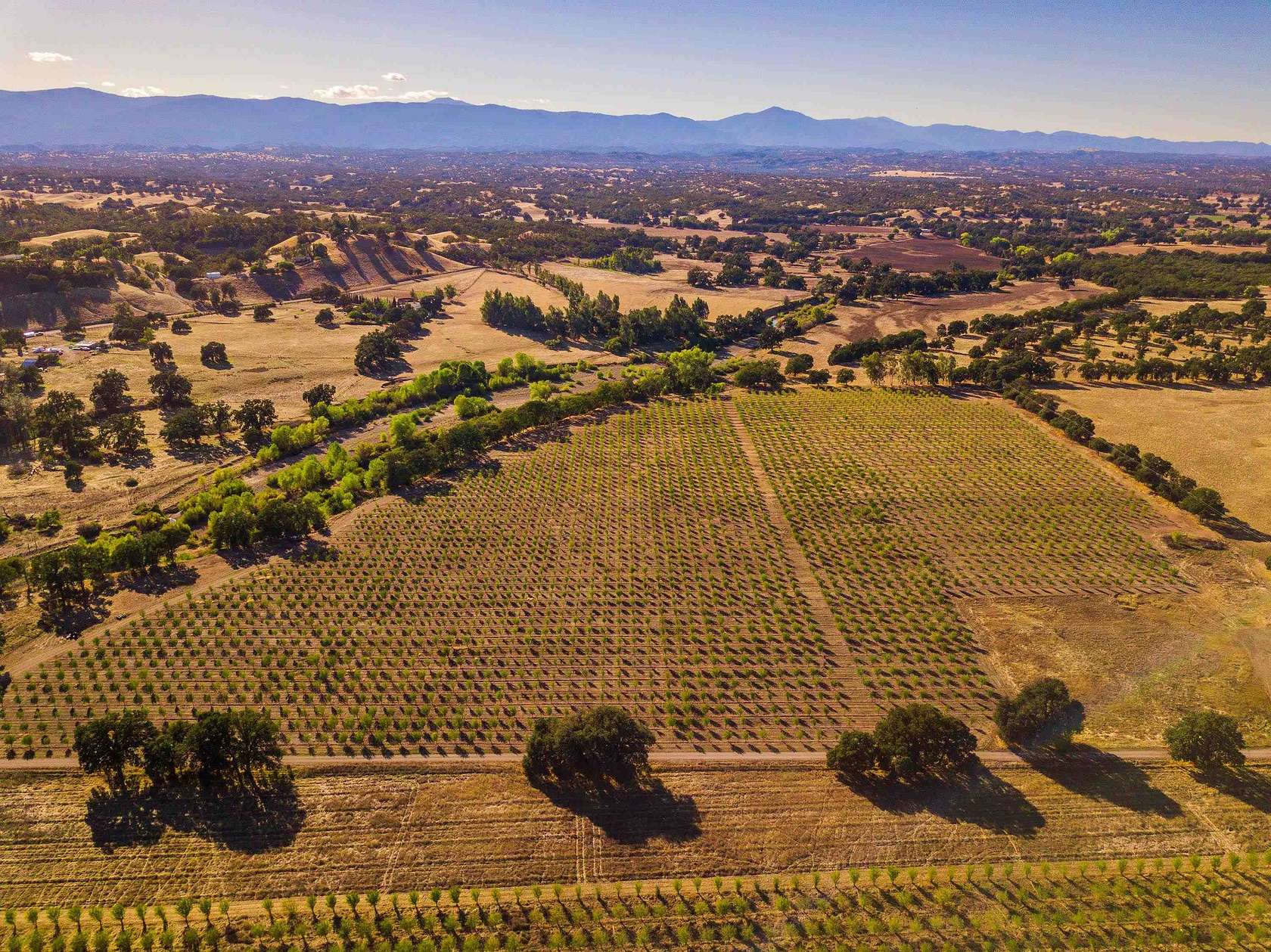 39.6 Acres of Improved Agricultural Land for Sale in Red Bluff, California