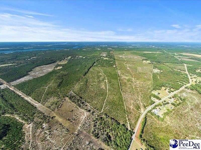 87.2 Acres of Land for Sale in Hartsville, South Carolina