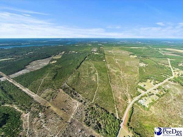 87.2 Acres of Land for Sale in Hartsville, South Carolina
