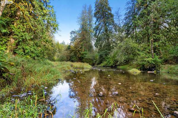 10.1 Acres of Land for Sale in Woodland, Washington
